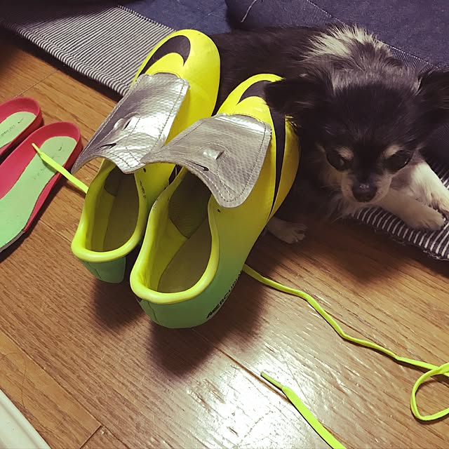 lovekuma_emilyさんの実例写真