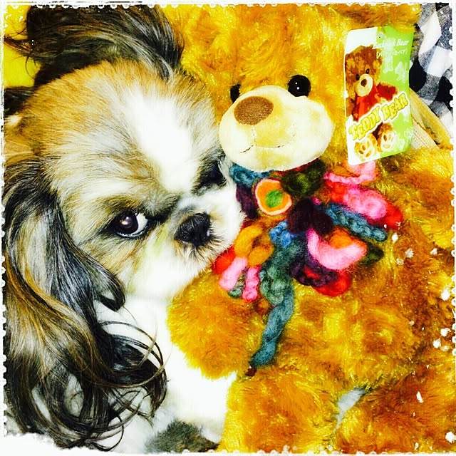 butachanさんの実例写真