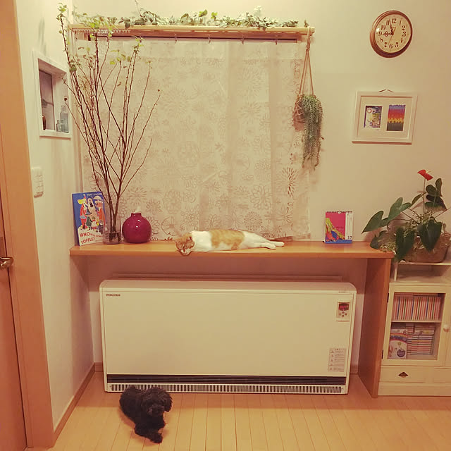 imacoco-3さんの実例写真