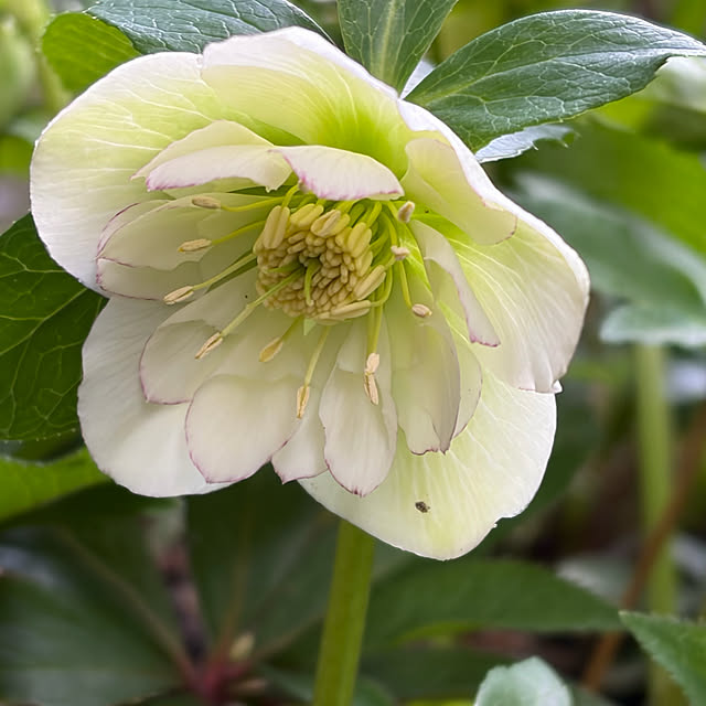 buchiさんの部屋