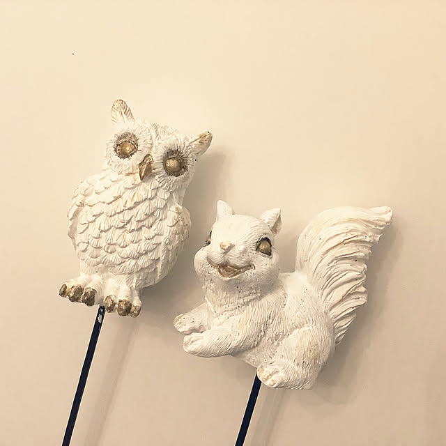souyaさんの実例写真