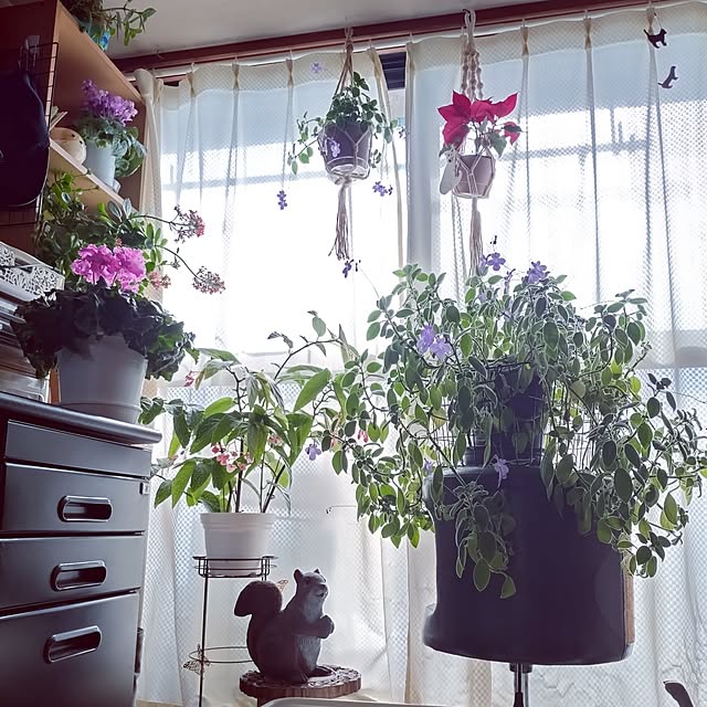 NOAHさんの実例写真