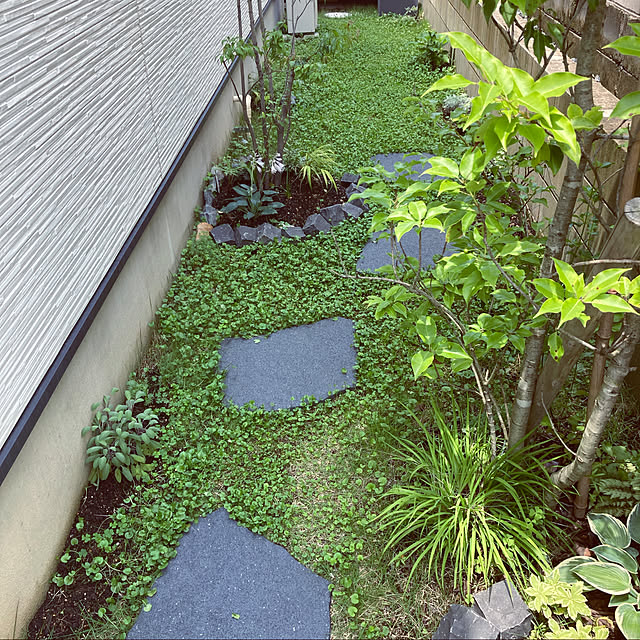 colorerさんの実例写真