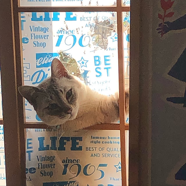 COCOさんの実例写真
