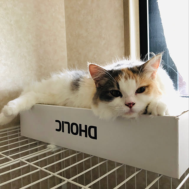 sayaoさんの実例写真