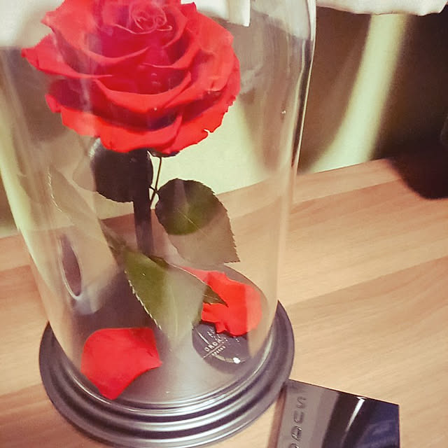 rhuさんの実例写真