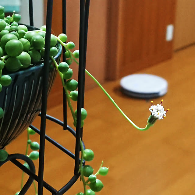 nachiさんの実例写真