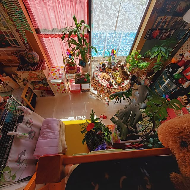 kumutanさんの実例写真