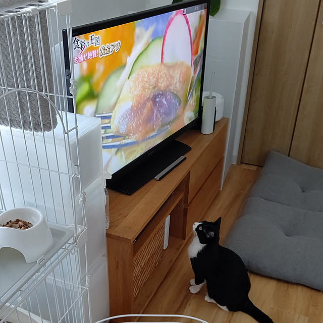 hihaさんの実例写真