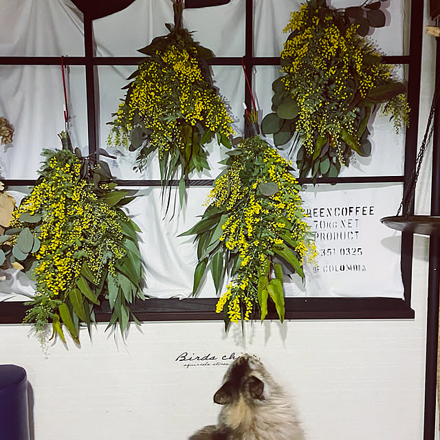 mayumiさんの実例写真