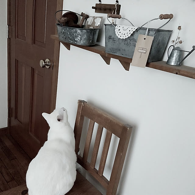 Ohigeさんの実例写真