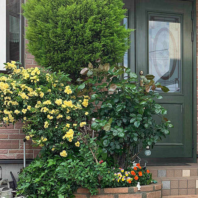 taeさんの実例写真