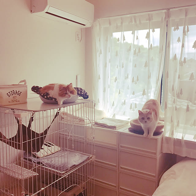 H.Tさんの実例写真