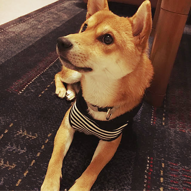 tanyuumoさんの実例写真