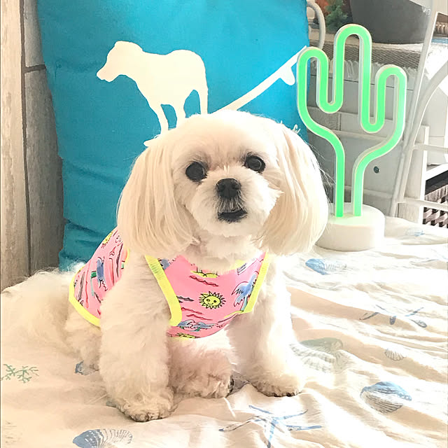 Sonokoさんの実例写真