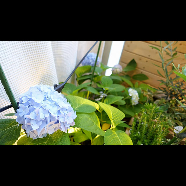 NKGardenさんの実例写真