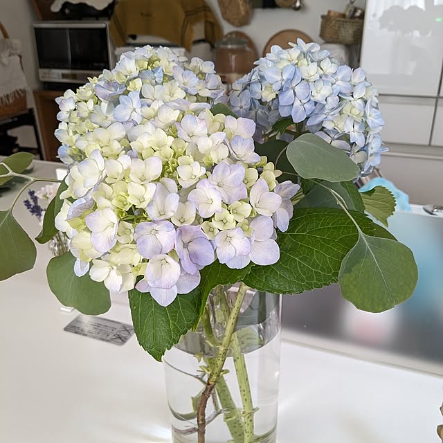 R.Y.Oさんの実例写真
