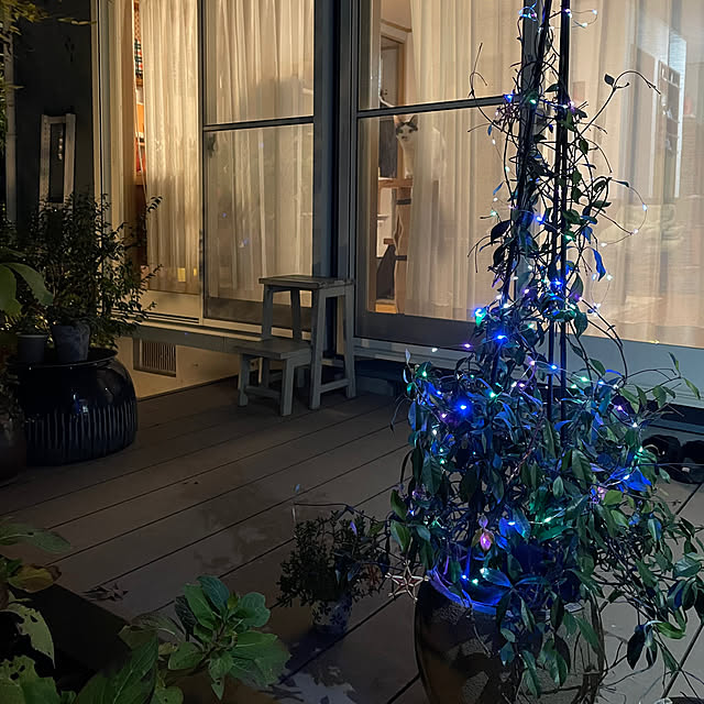 nobikoさんのお部屋の写真