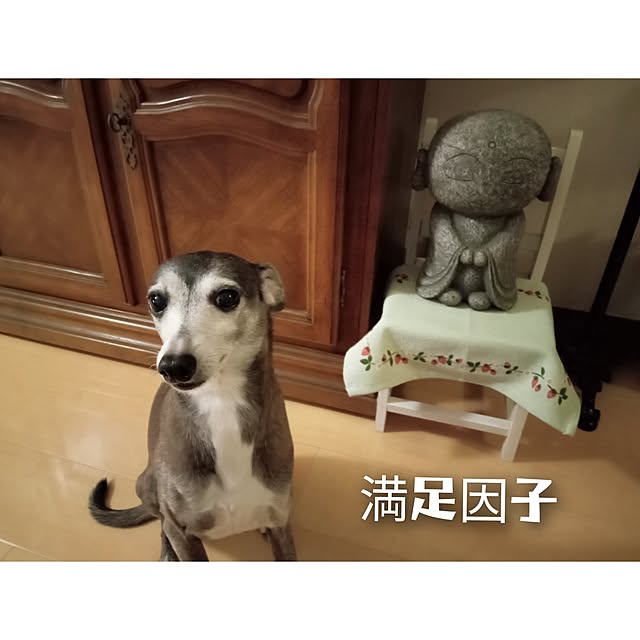 moruさんの部屋