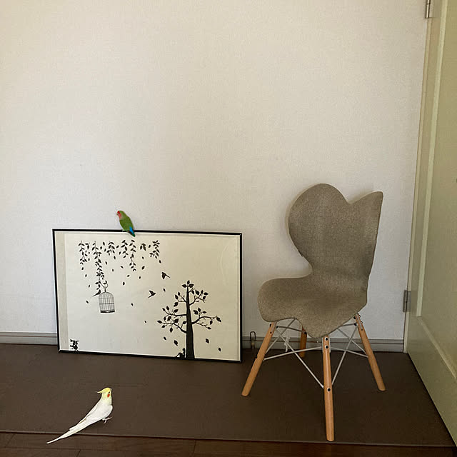 toratanさんの部屋