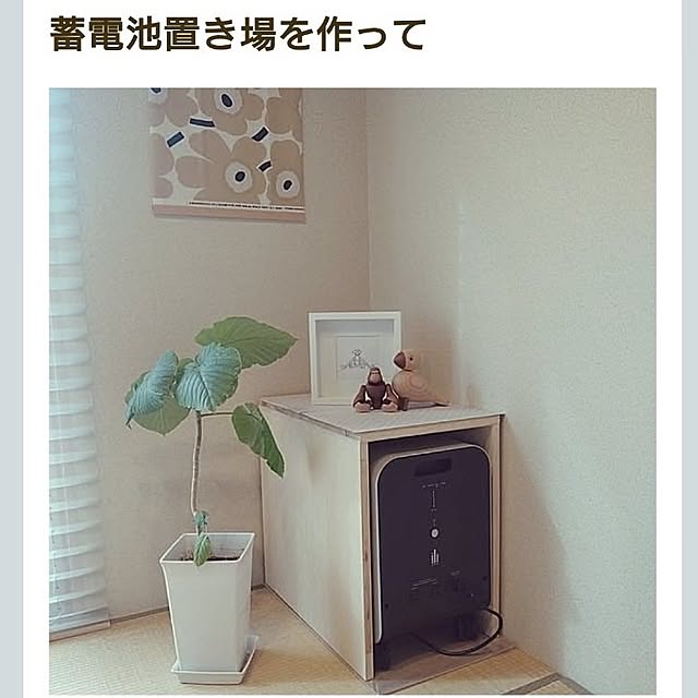 tan5さんの実例写真