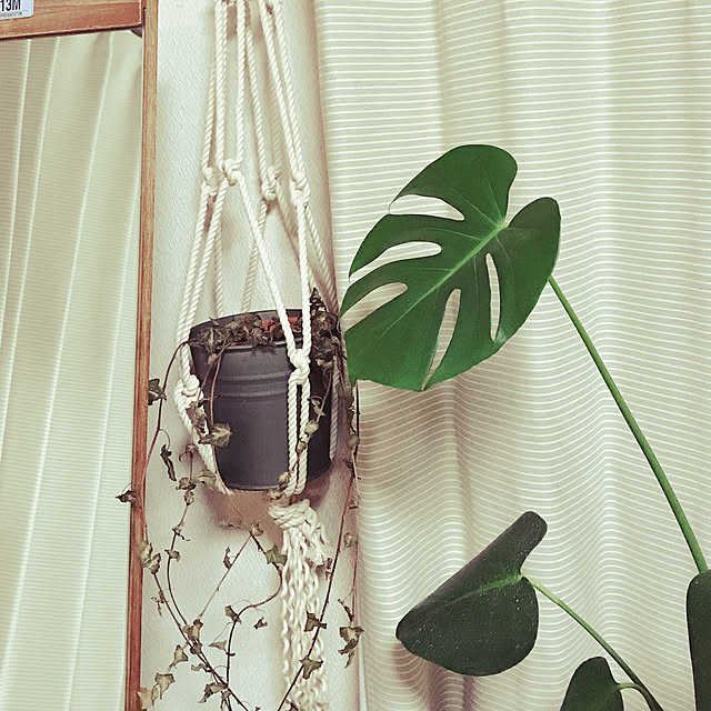 HANAさんの実例写真