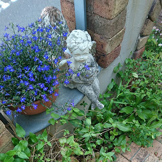 kimiさんの実例写真
