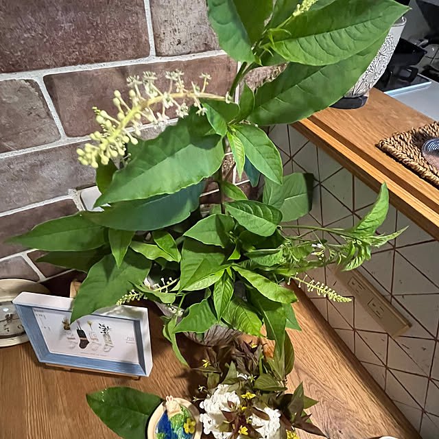 cotaさんの部屋