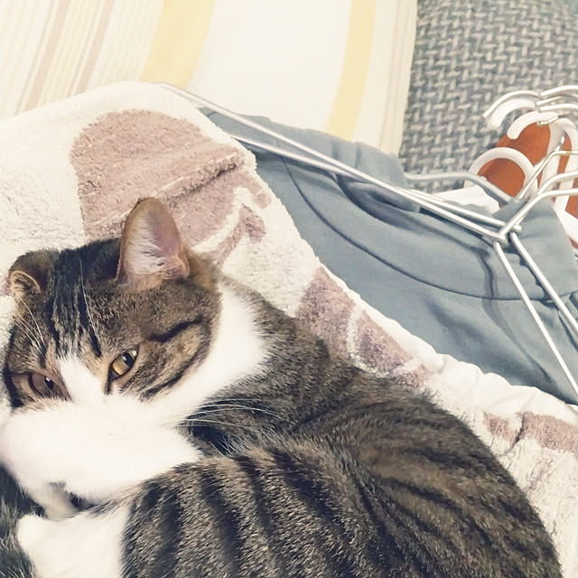 hanacocoさんの実例写真