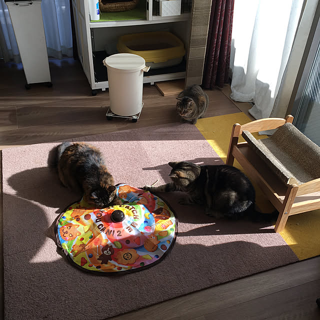 mikomaruさんの実例写真