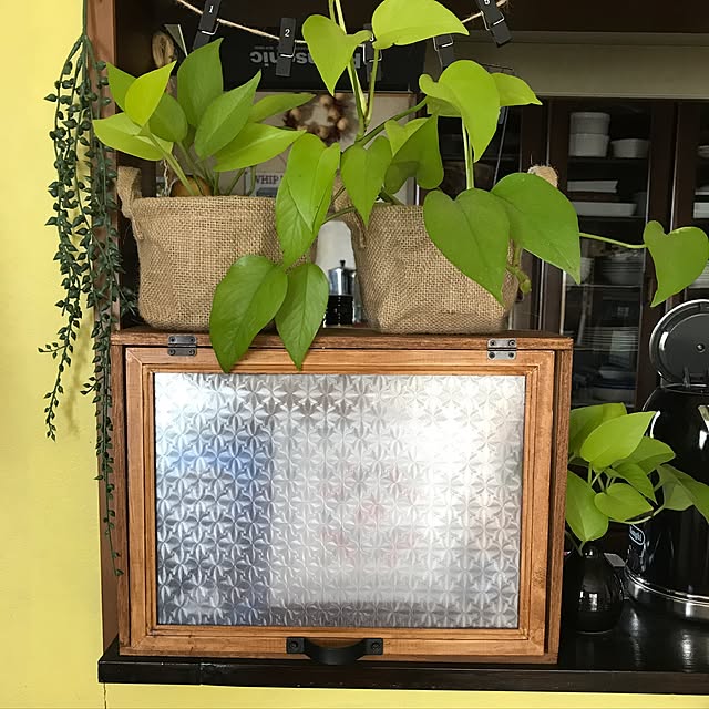 zurinさんの実例写真