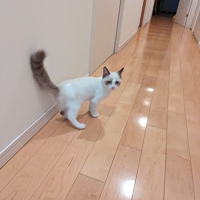 実例写真
