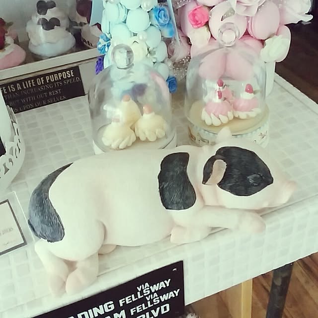 jankenkenさんの実例写真