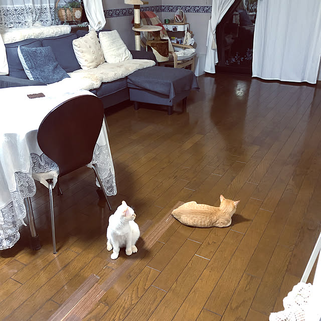 himetanさんの実例写真