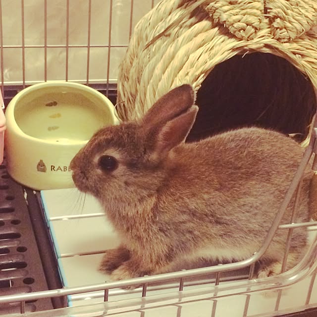 norinoriyuriさんの実例写真