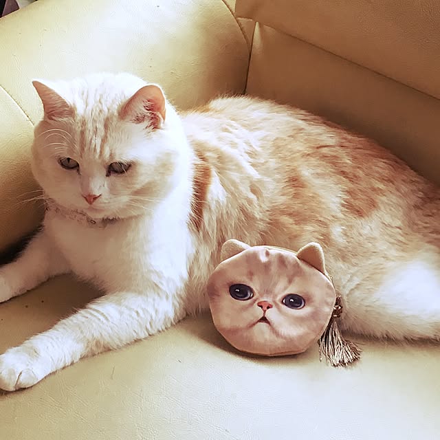 Watanabejunpilさんの実例写真