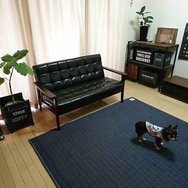 lovepeaceさんの実例写真