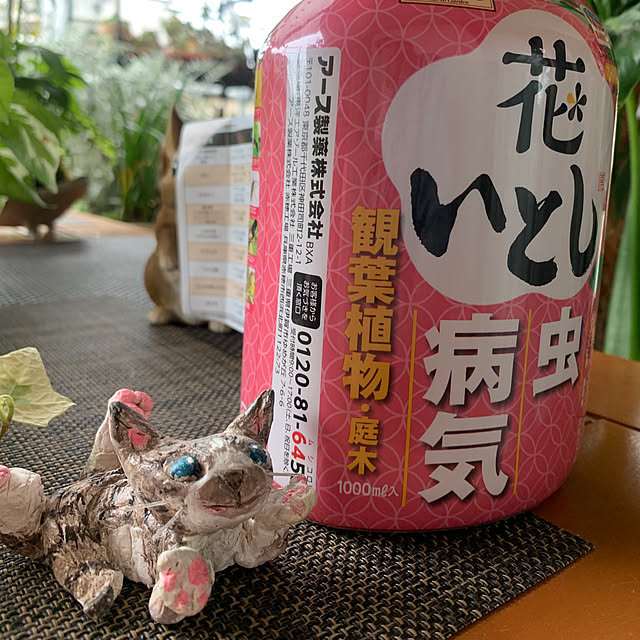 Aqettyさんの部屋