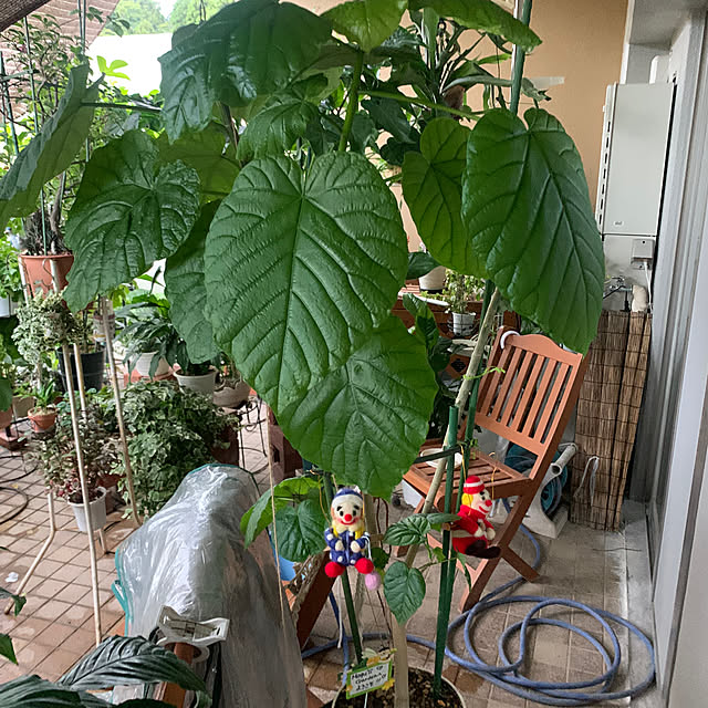 Aqettyさんの部屋