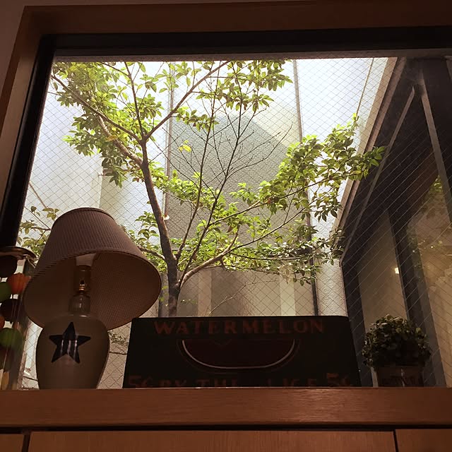 kiyorinさんの実例写真
