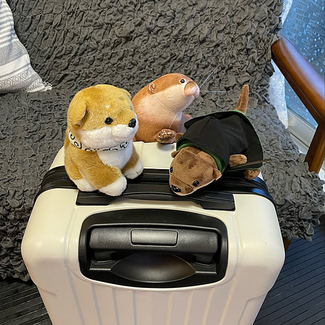 aureaさんの実例写真