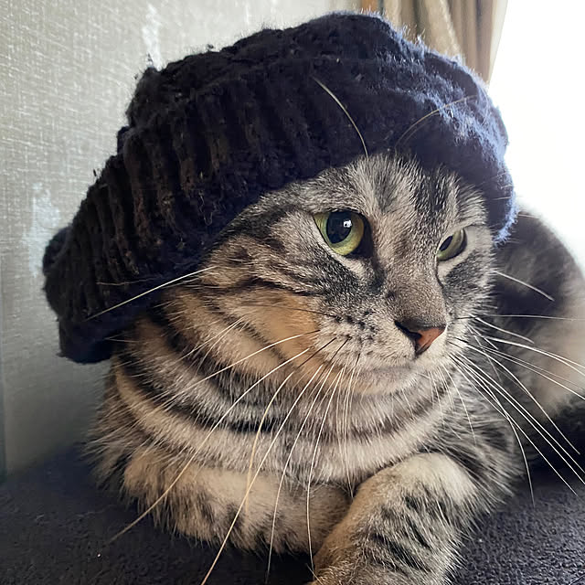 yuzuaoさんの部屋