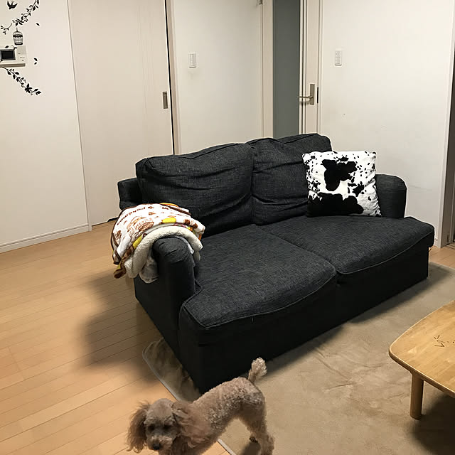 akiasaさんの実例写真