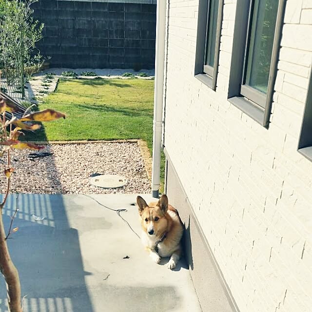 teruさんの実例写真