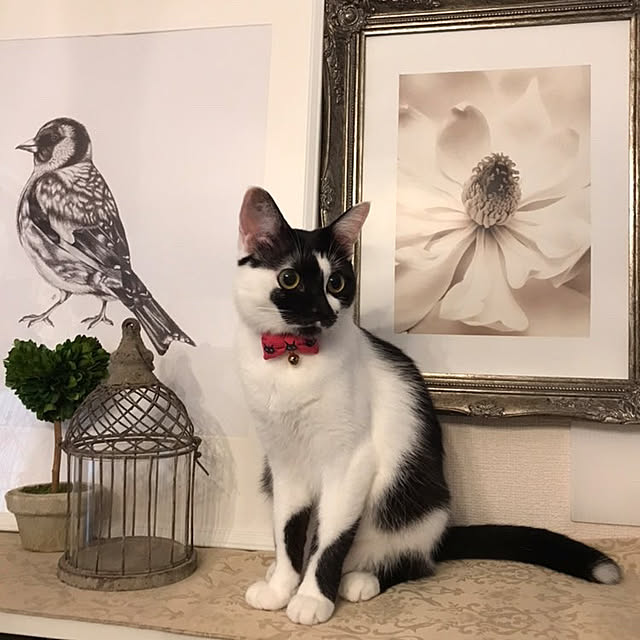 koyuki3739さんの実例写真