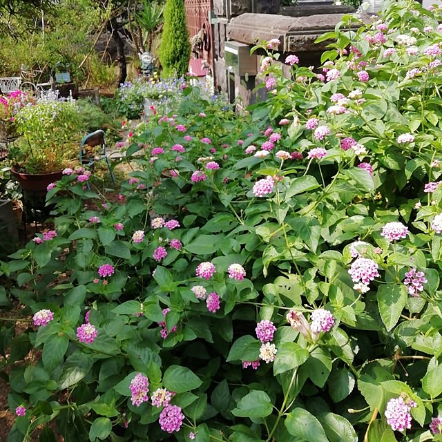 haruiroさんの部屋