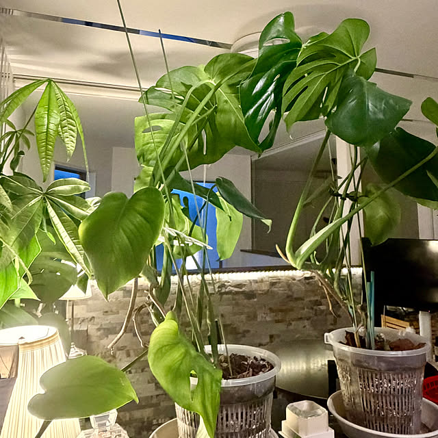 MOMOMAMAさんの実例写真