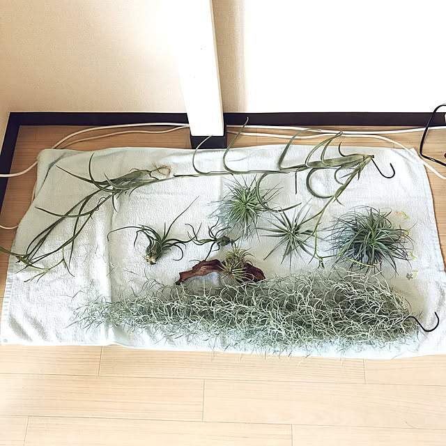 youさんの実例写真