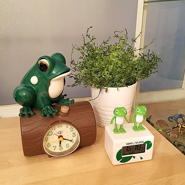 kaerucoさんの実例写真