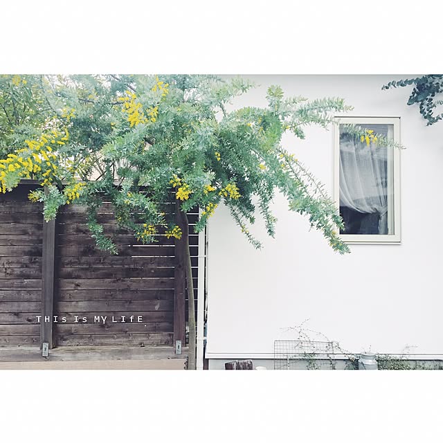 _9_2__3_1_さんの実例写真